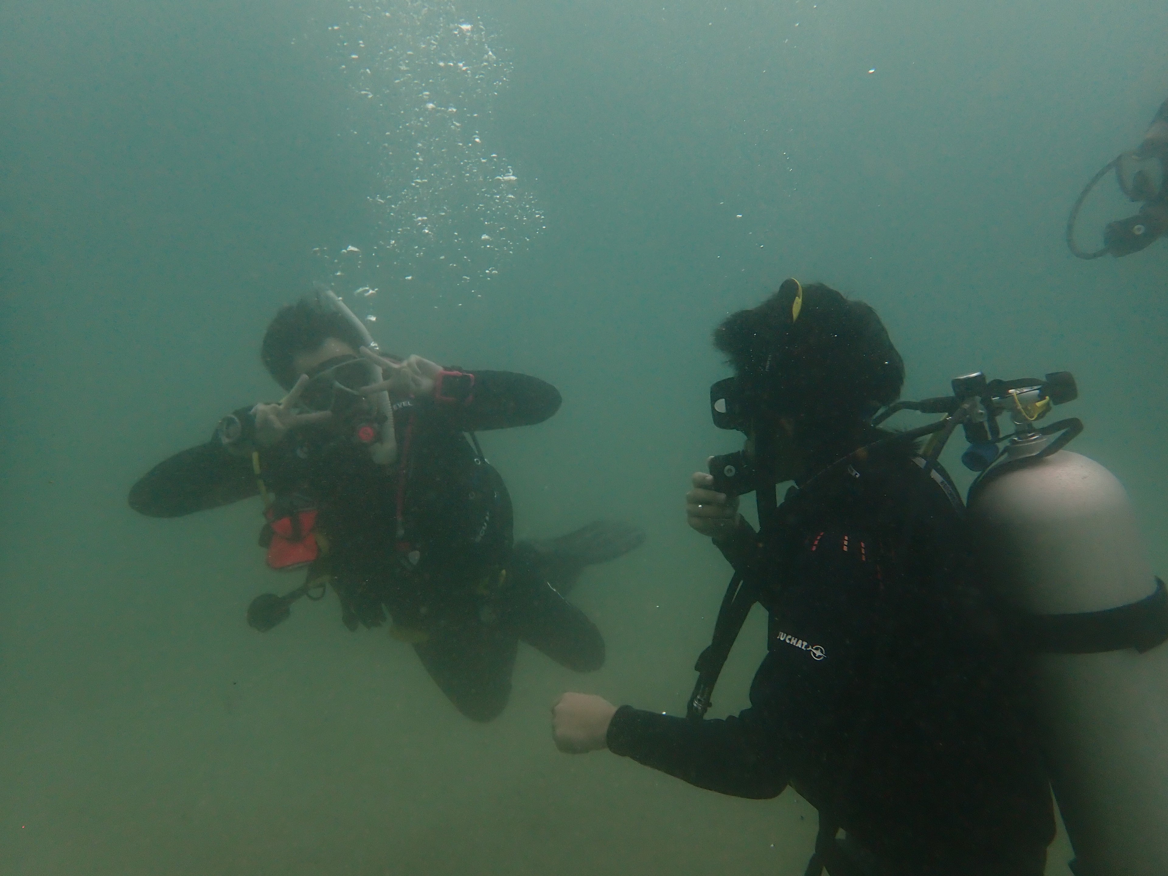 Private Dive Master Guide (Maximum 4 people)