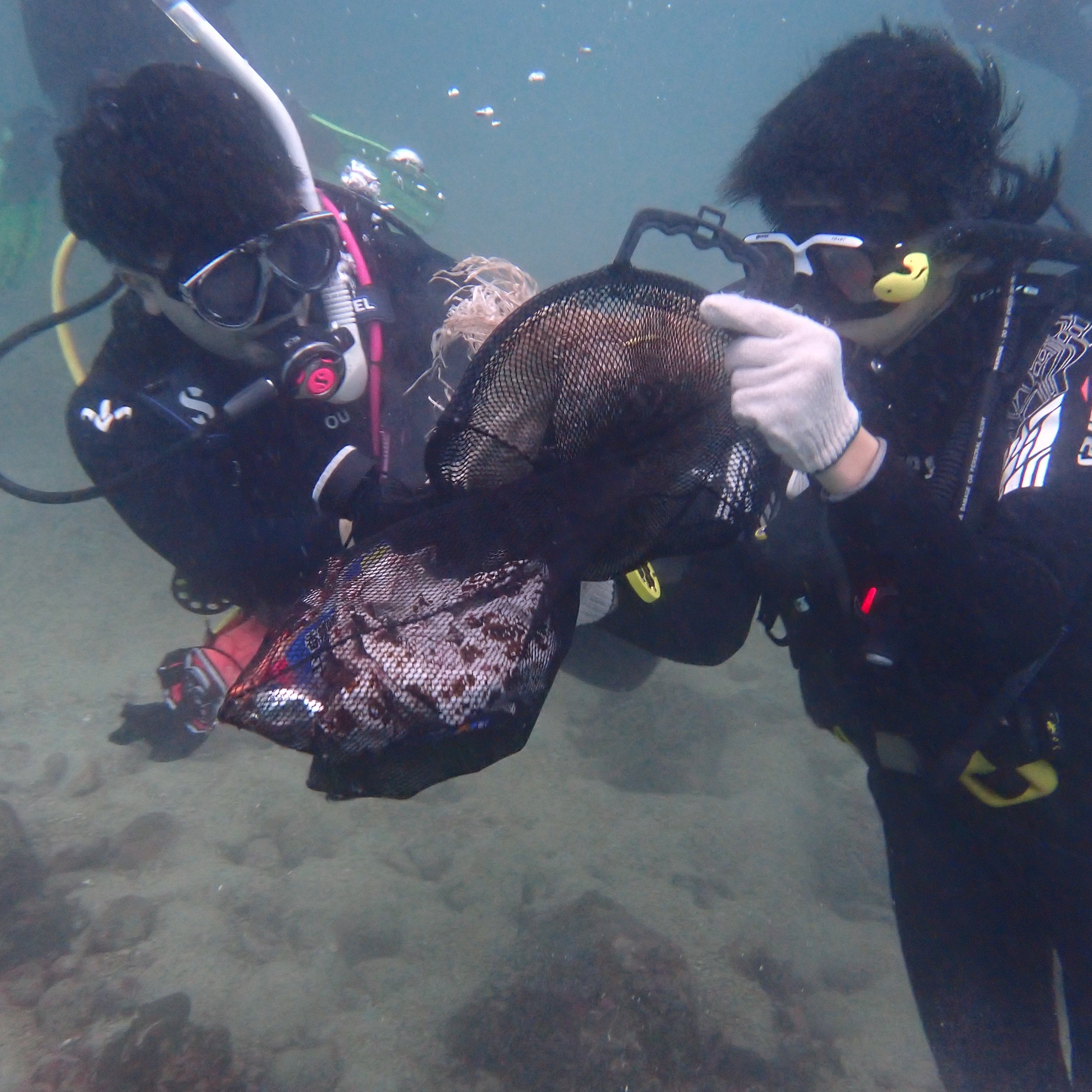 Eco Aware/ Fun Dives