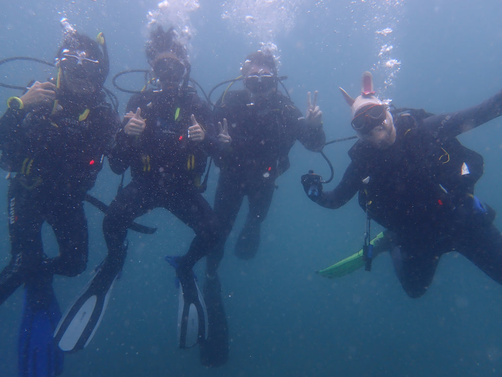 Private Dive Master Guide (Maximum 4 people)