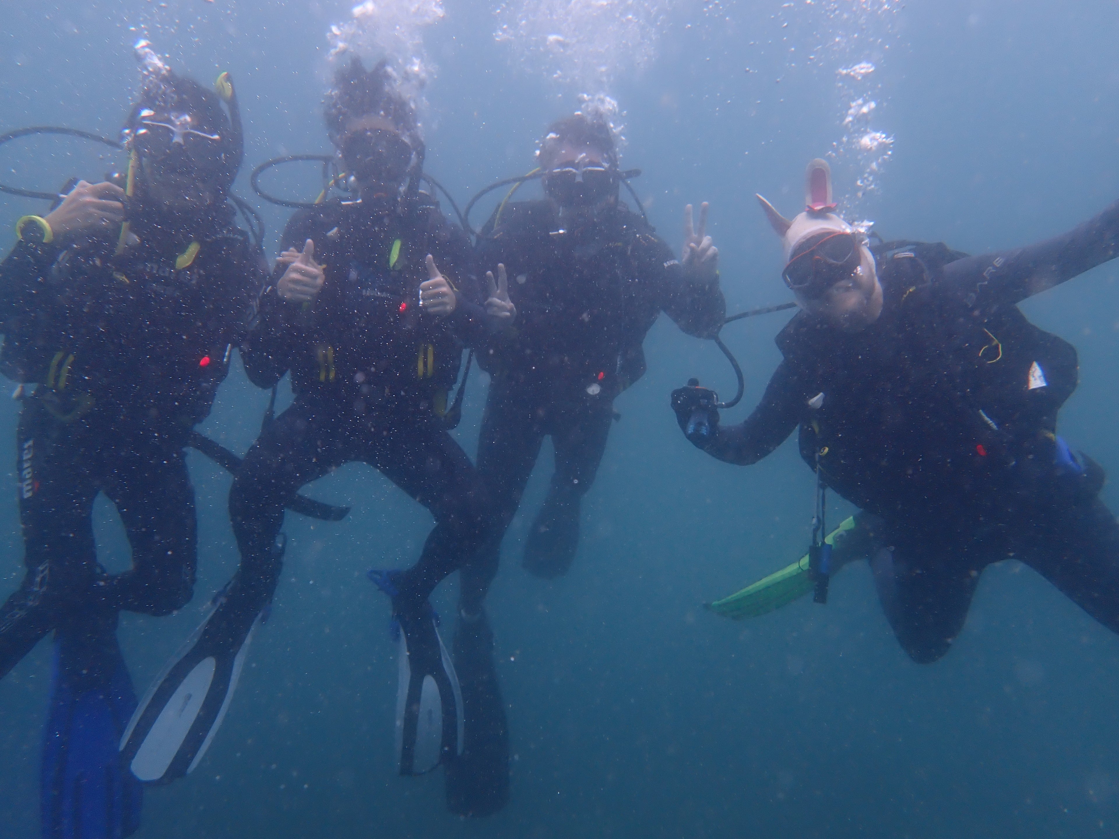 Private Dive Master Guide (Maximum 4 people)