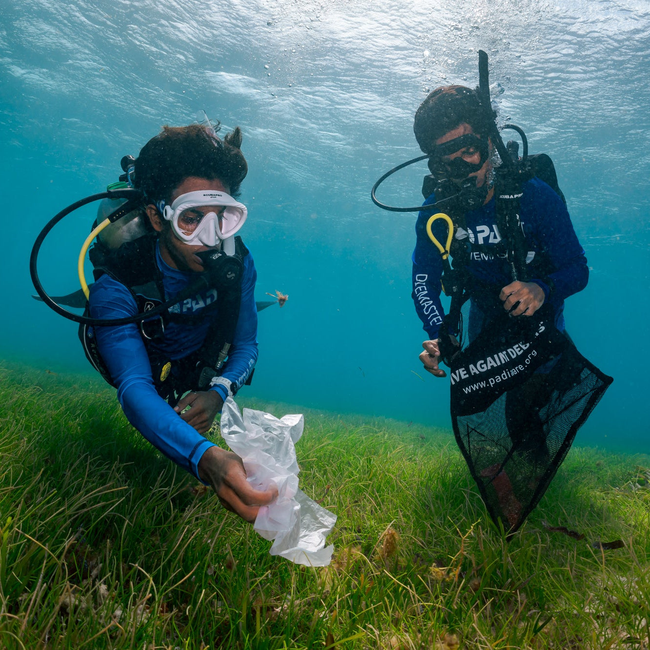 Dive Against Debris Specialty